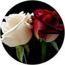 Haikal Ismail profile picture