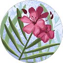 nursyahira ahmad profile picture