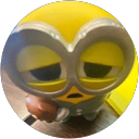 Qaseh Asmiera profile picture