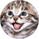 Nzm profile picture