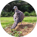 Abudhiraar profile picture