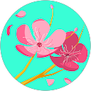 Siti Salihah Abdul Rahman profile picture