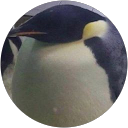 Waiz Aznawi profile picture