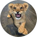 Ritt profile picture