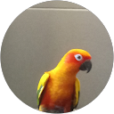 Huvanetha Sekar profile picture